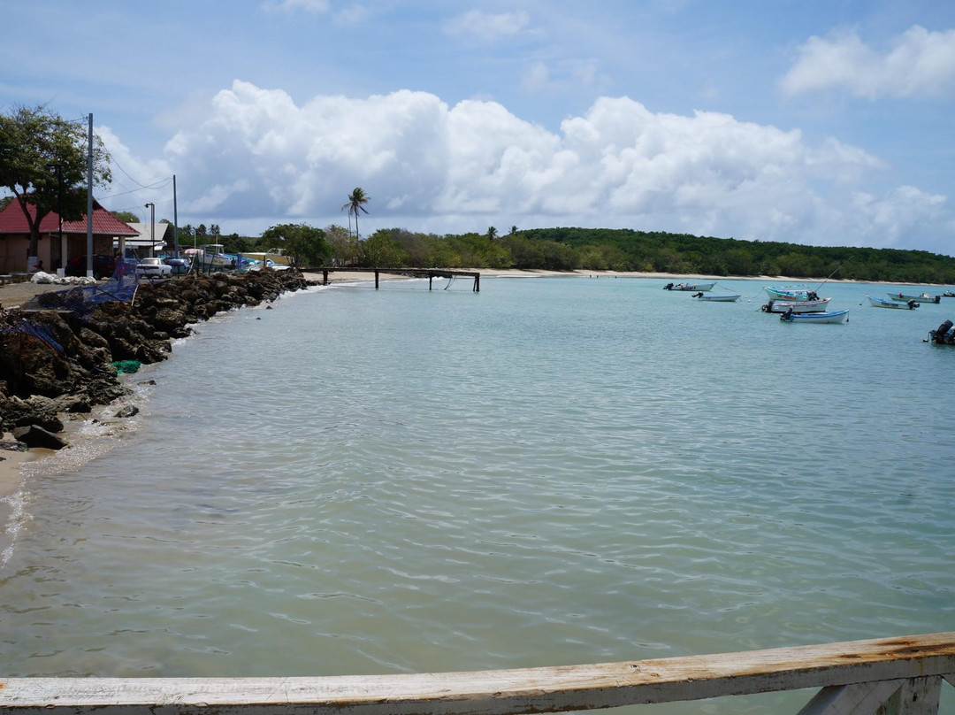 Bon Accord旅游景点-Buccoo Reef