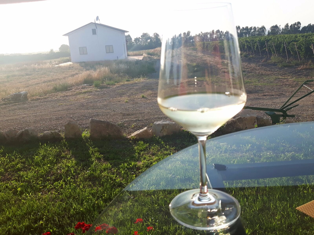 Sorso旅游景点-Cantina Nuraghe Crabioni
