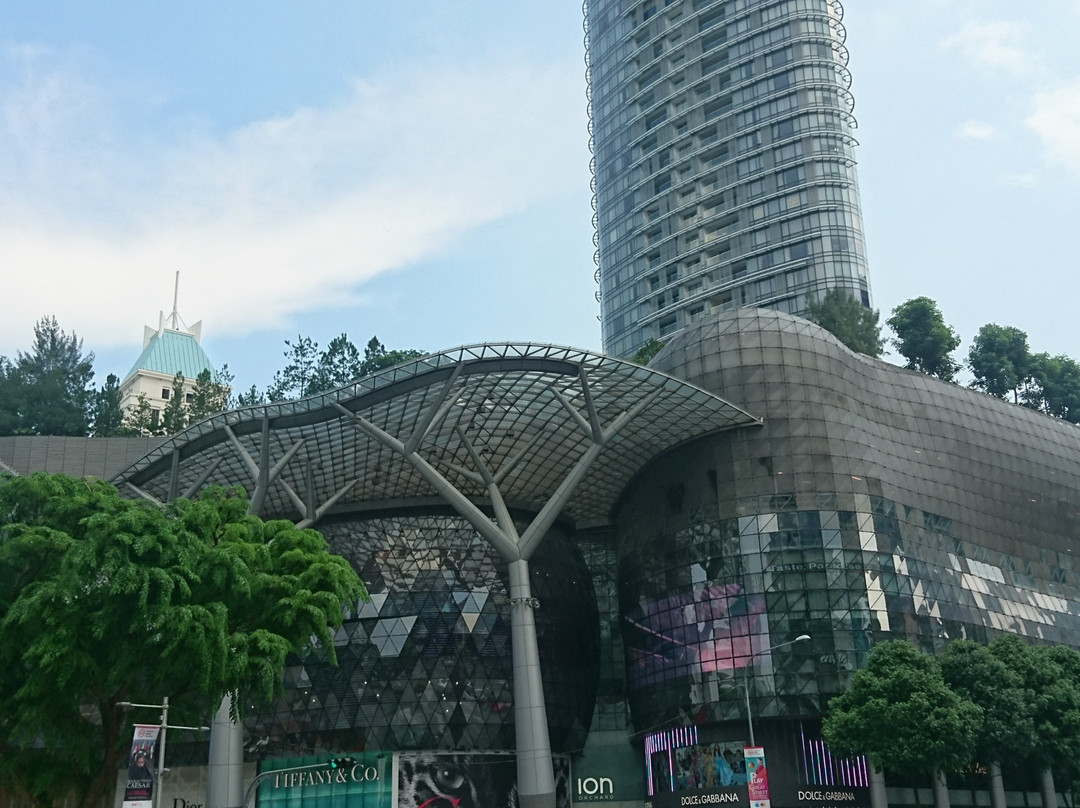 爱雍·乌节购物中心-新加坡必去景点