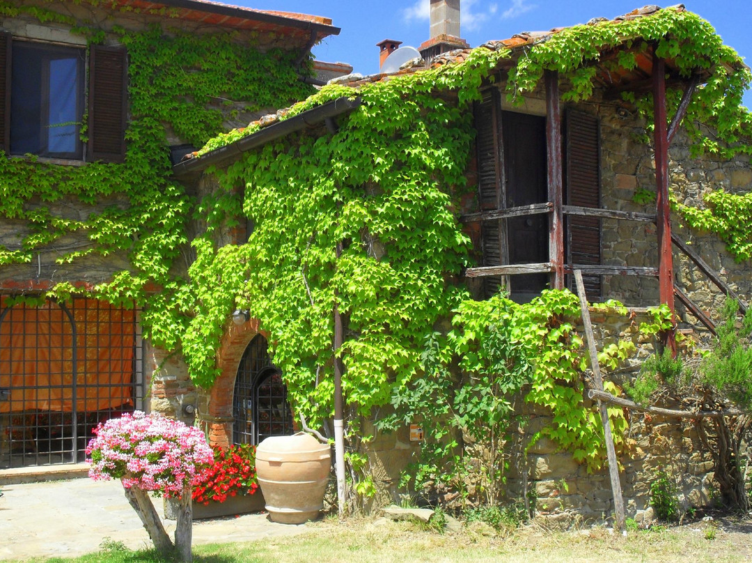 Montemaggiore Wine & Countryhouses景点图片