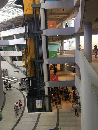 Patricia & Phillip Frost Art Museum-迈阿密必去景点