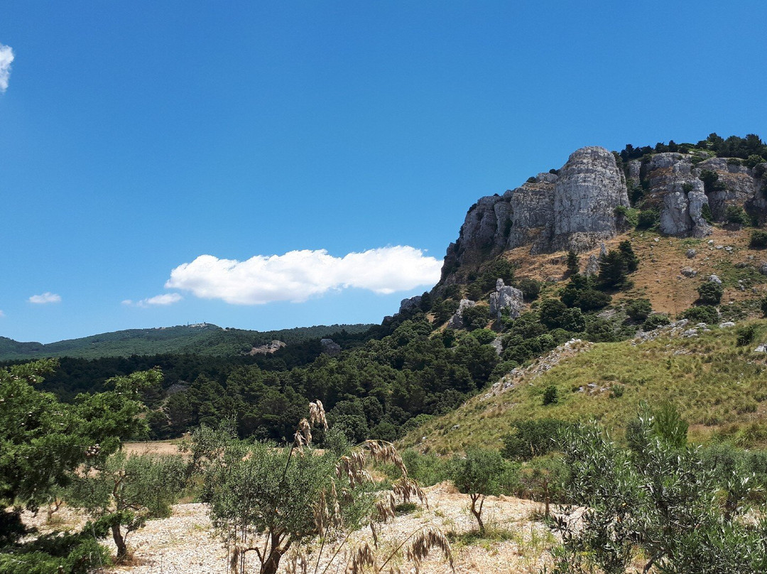 Monte Genuardo National Park景点图片