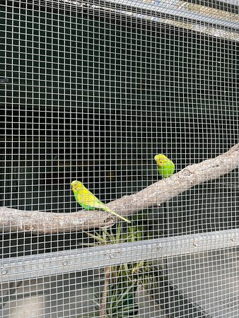 Fauna Park-Warracknabeal必去景点