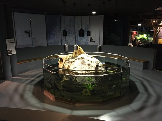 Aquaprad-Prato allo Stelvio必去景点