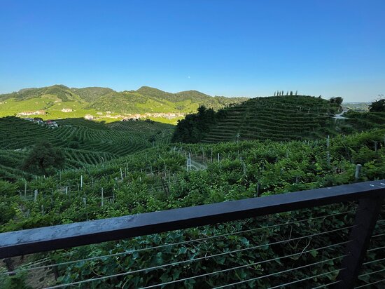 Agriturismo Due Carpini-泳池