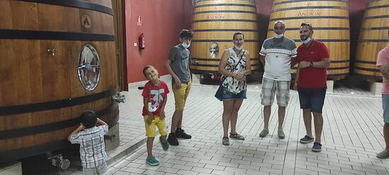 Bodegas Marco Real-Olite必去景点