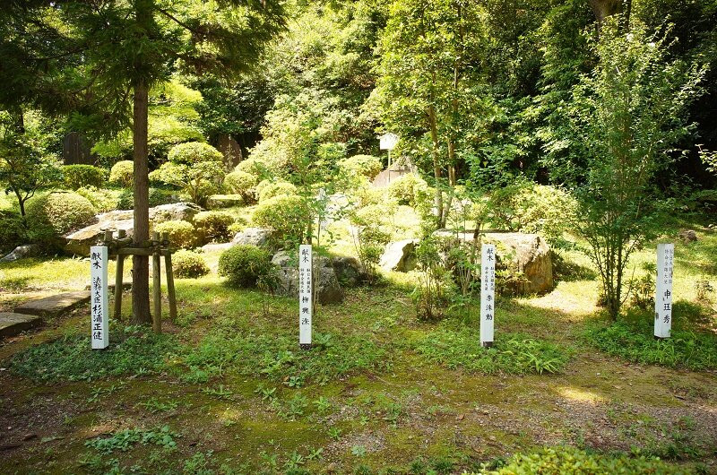 Koma Shrine-日高市必去景点