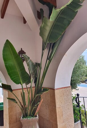 Hotel Tossal d'Altea主图