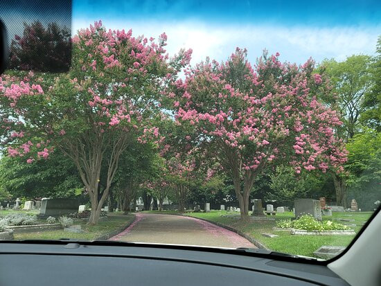 Elmwood Cemetery-孟菲斯必去景点