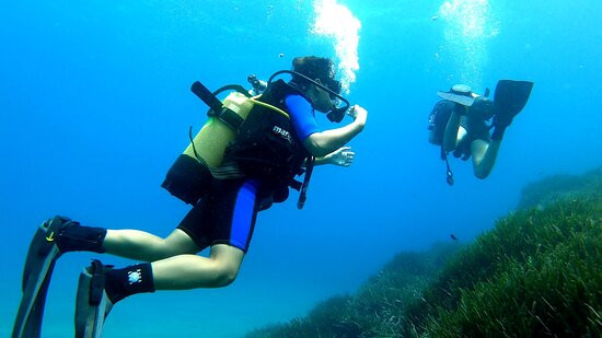 Centro de Buceo Branquias景点图片