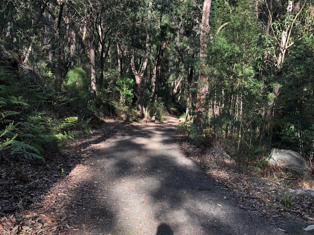 Valley Heights Fire Trail-Valley Heights必去景点