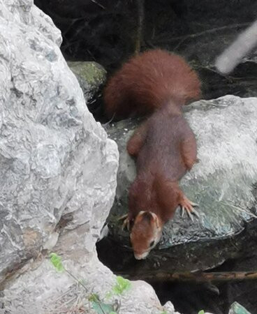 Parque Municipal de San Vicente-Lliria必去景点