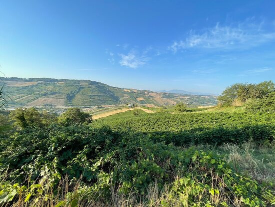 Casa Vacanze Cristina - Holiday House主图