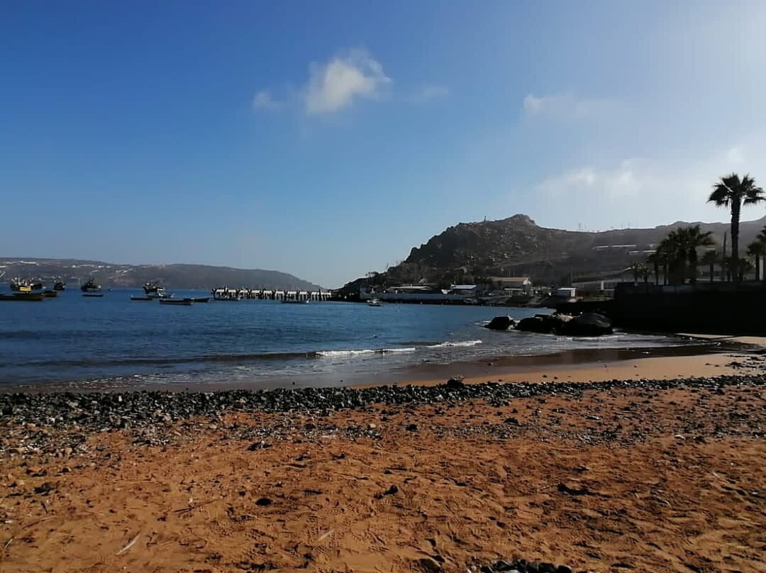 Caleta De Guayacán-Coquimbo必去景点