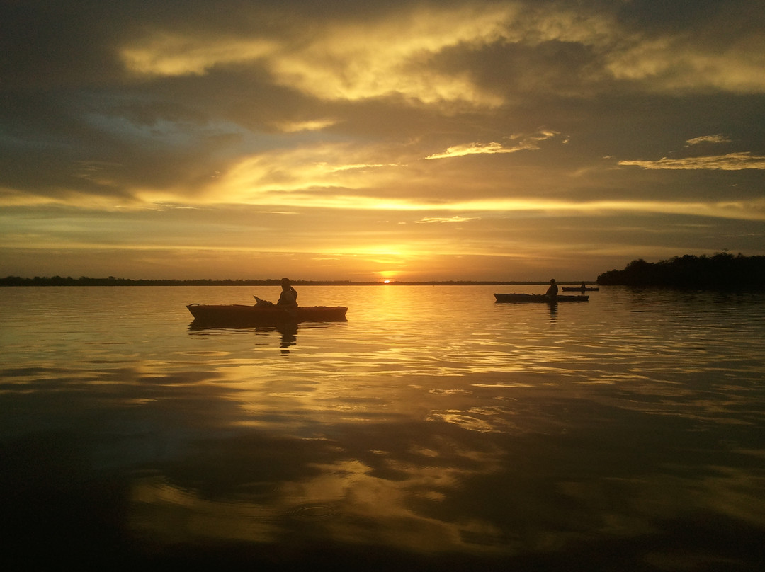 Gulf Coast Kayak景点图片