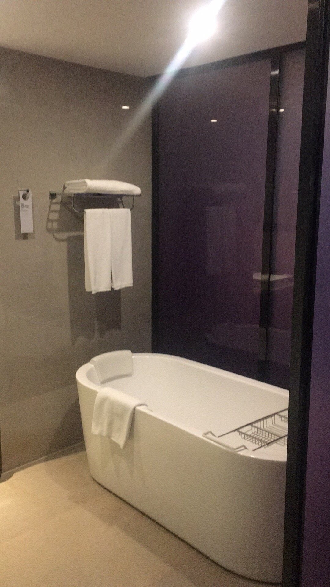 南京禄口机场铂尔曼大酒店-浴室