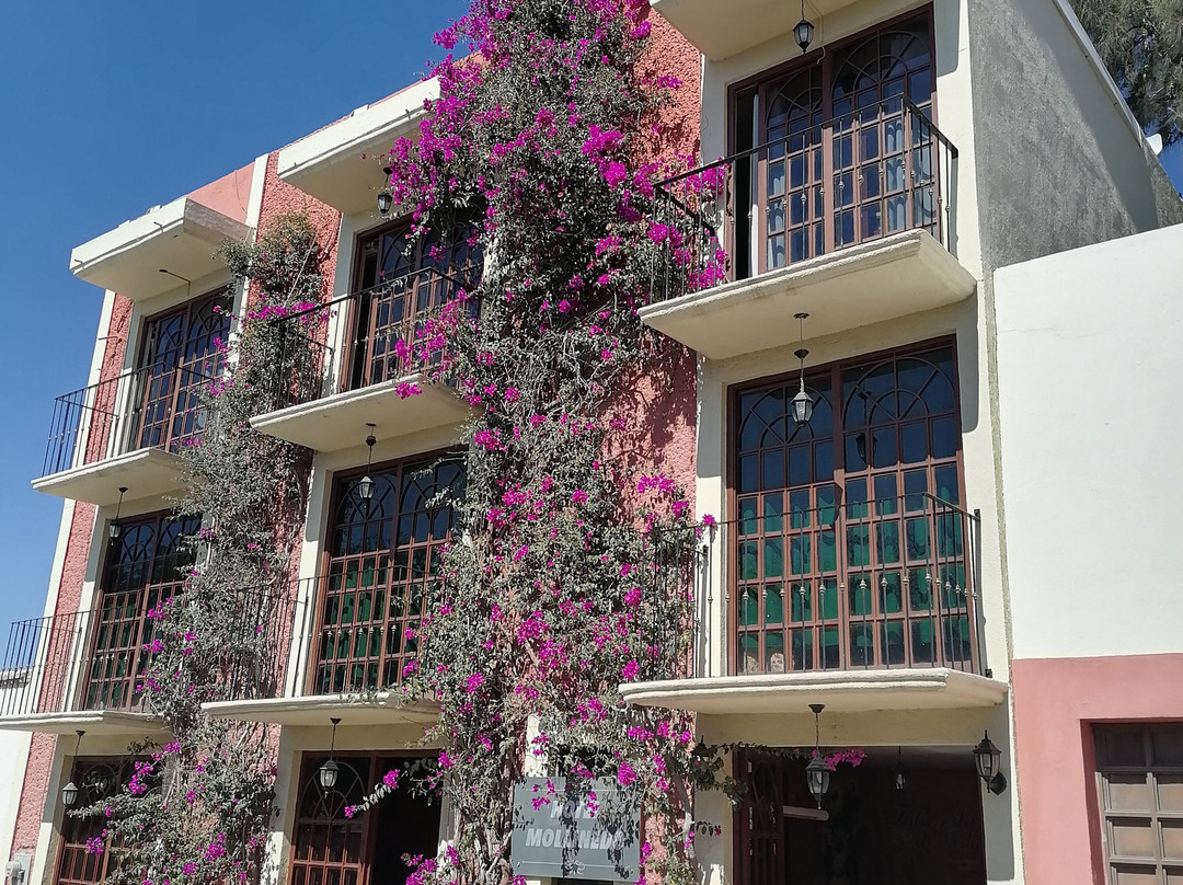 Hotel Meson de Mollinedo