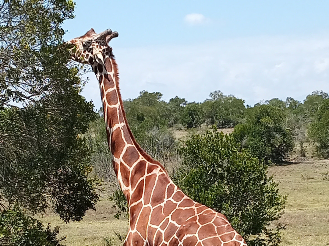 Africompass travel-内罗毕必去景点