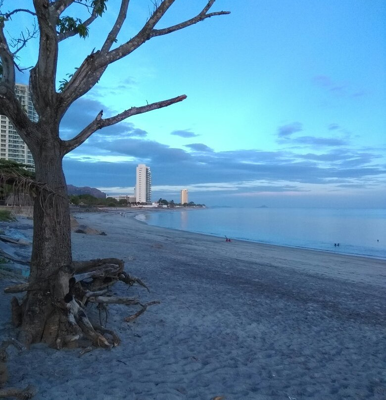 Cabanas de Playa Gorgona主图