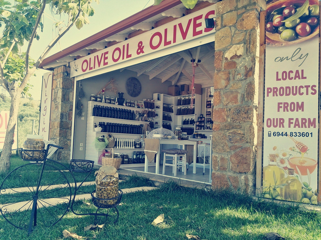 Virginia Olive Oil & Olives-Vatopedi必去景点