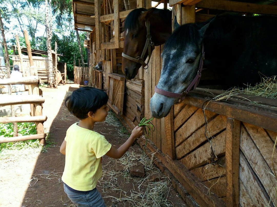 Mlango Farm-黎木鲁必去景点
