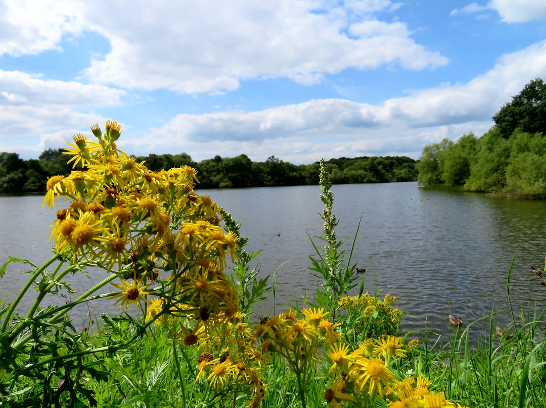 Heanor旅游攻略图片