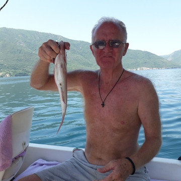 Drazin Vrt旅游攻略图片