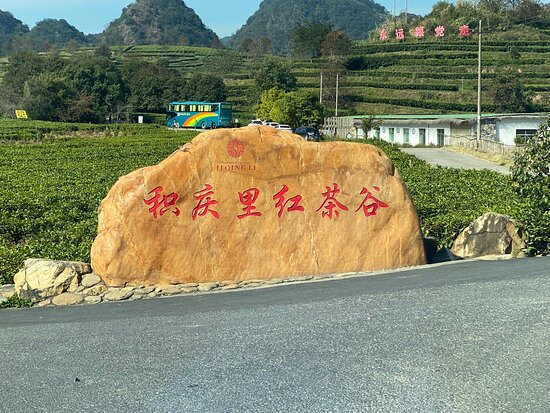 英德茶叶世界-英德市必去景点