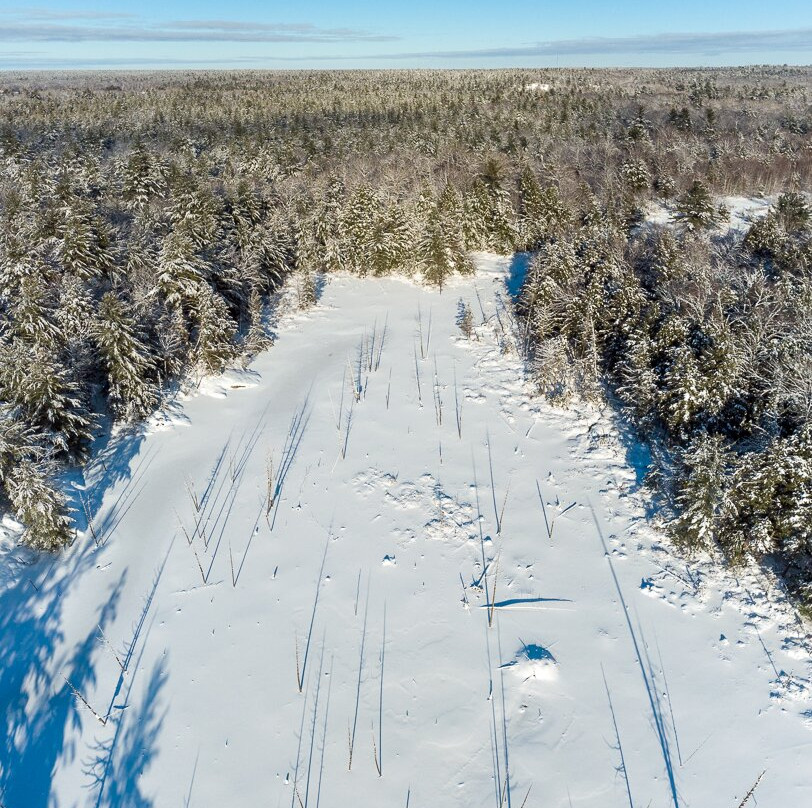 Georgian Nordic Outdoor Activity Centre景点图片