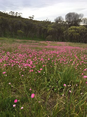 The York Palace Accommodation主图