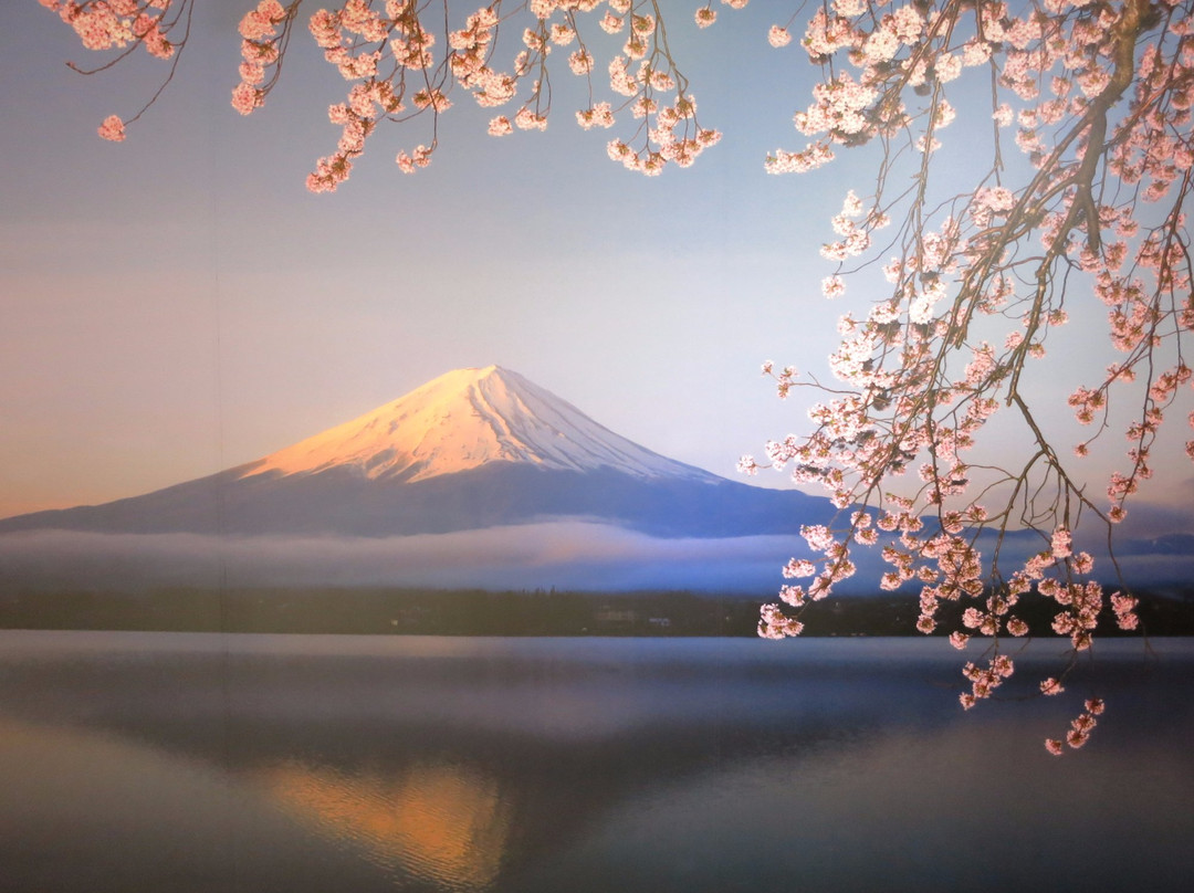 Fujisan World Heritage Center(Mt.Fuji World Heritage Center)景点图片