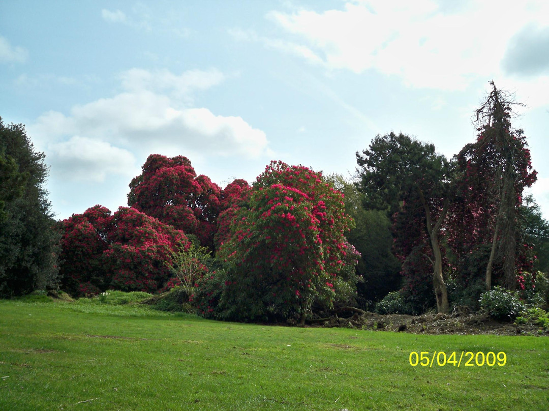 National Botanic Gardens, Kilmacurragh景点图片