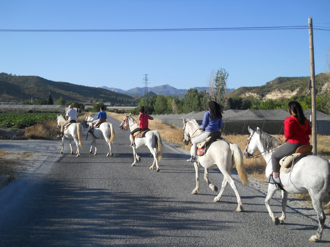Horse Riding Andalucia景点图片