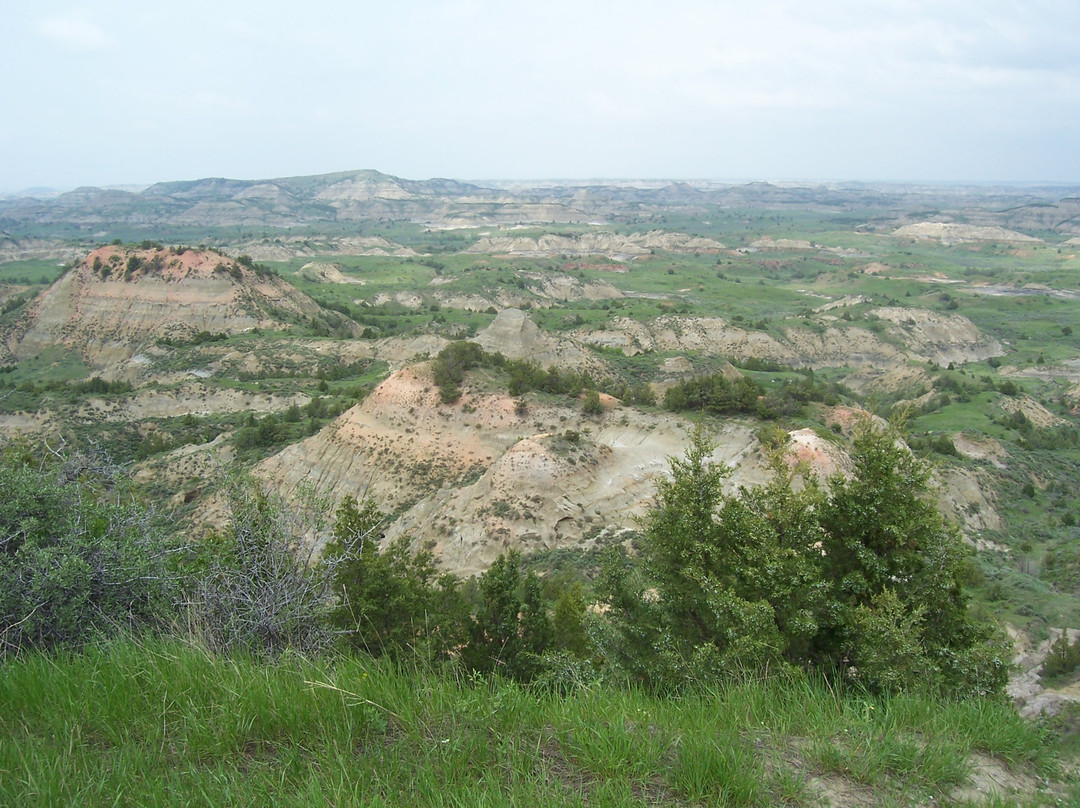 Painted Canyon Overlook景点图片