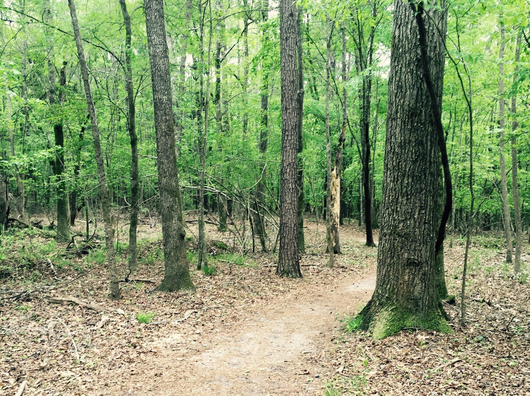 Wannamaker County Park景点图片