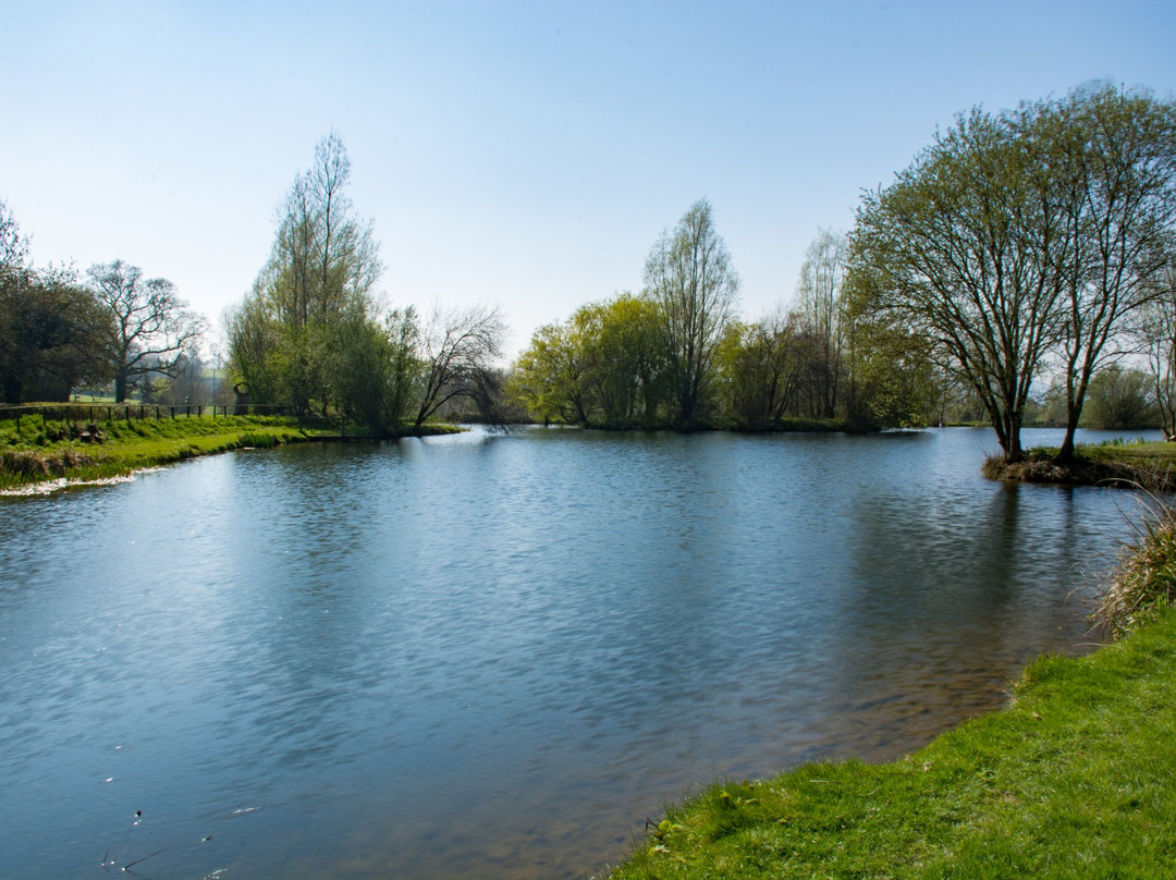 Lower Bruckland Farm Nature Reserve景点图片