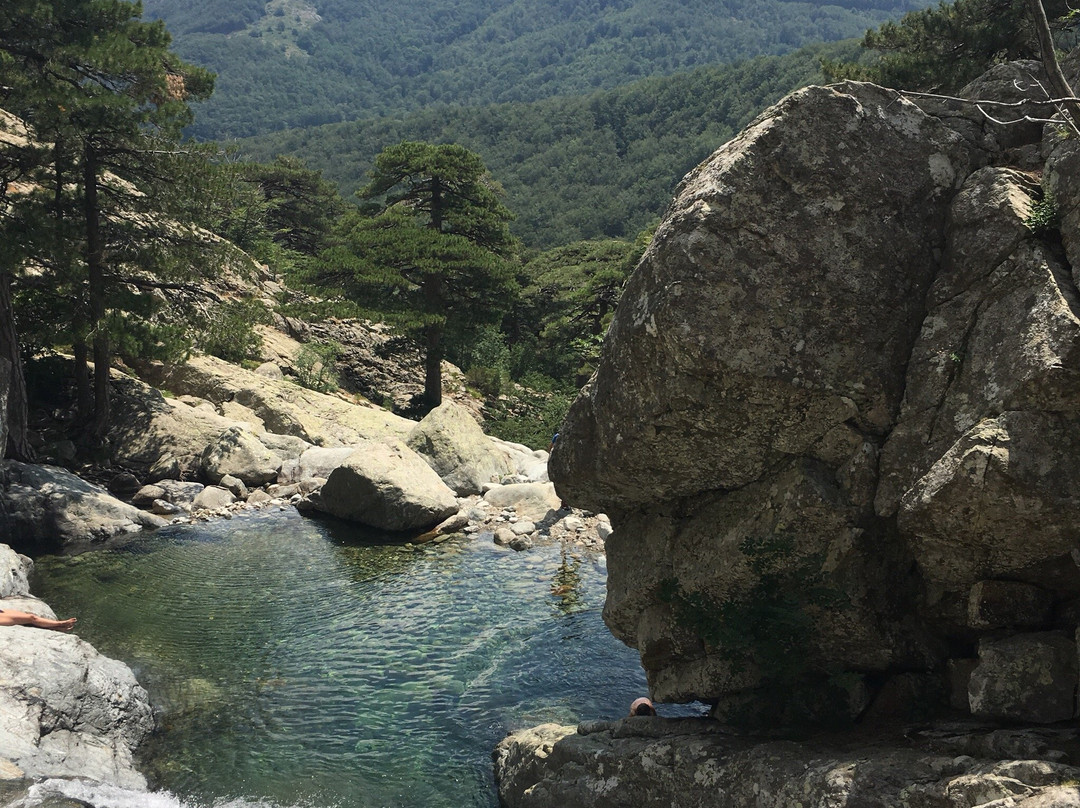 Vivario旅游攻略图片