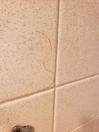 Ramada by Wyndham Grand Forks主图