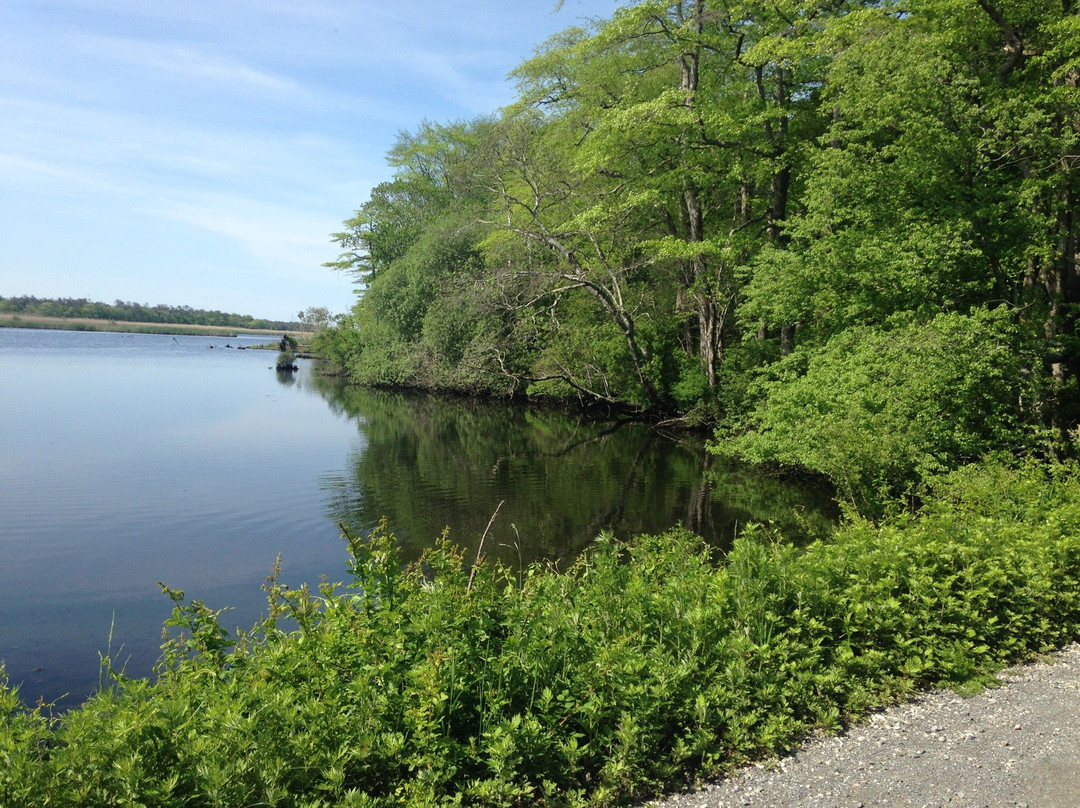 Shirley旅游攻略图片