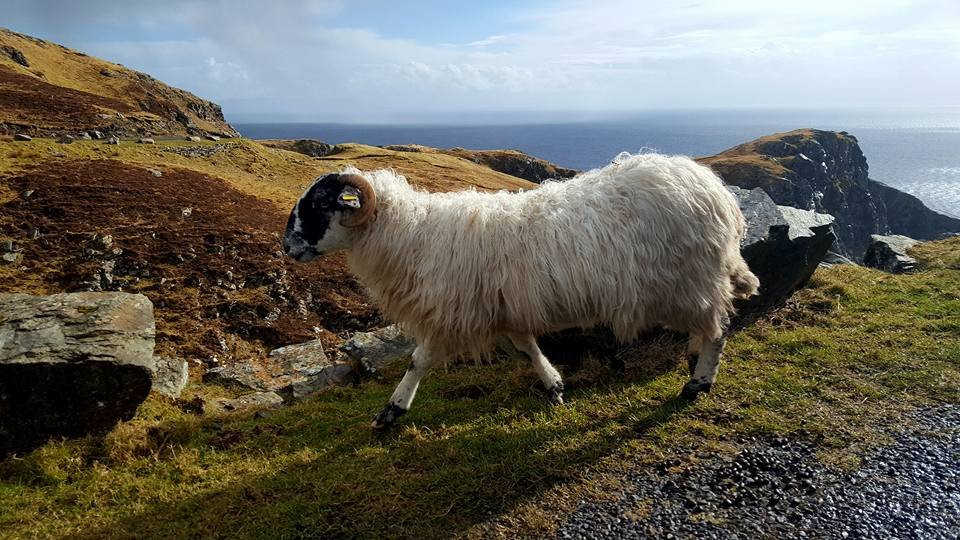 Knockfola旅游攻略图片