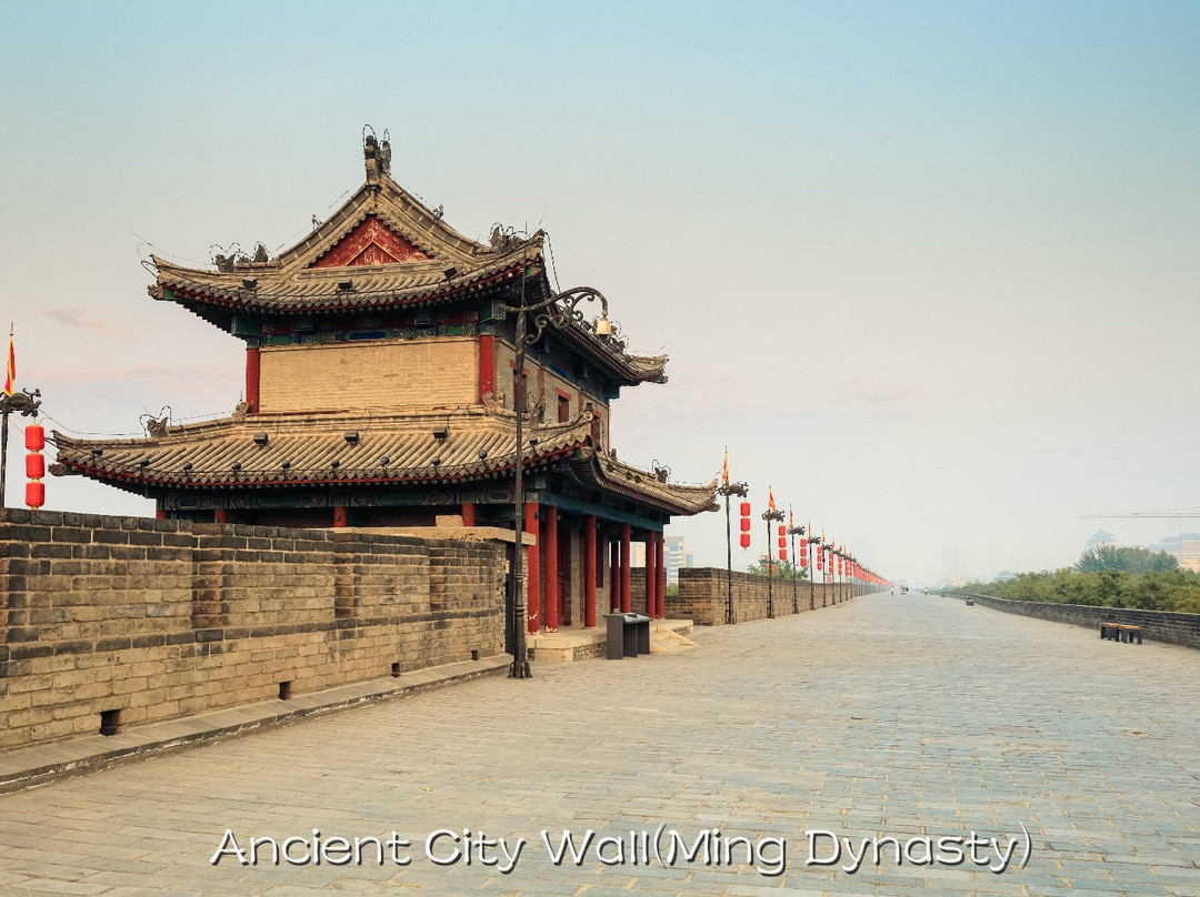 Stunning Tours-西安市必去景点