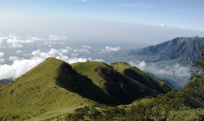 Mount Merbabu景点图片