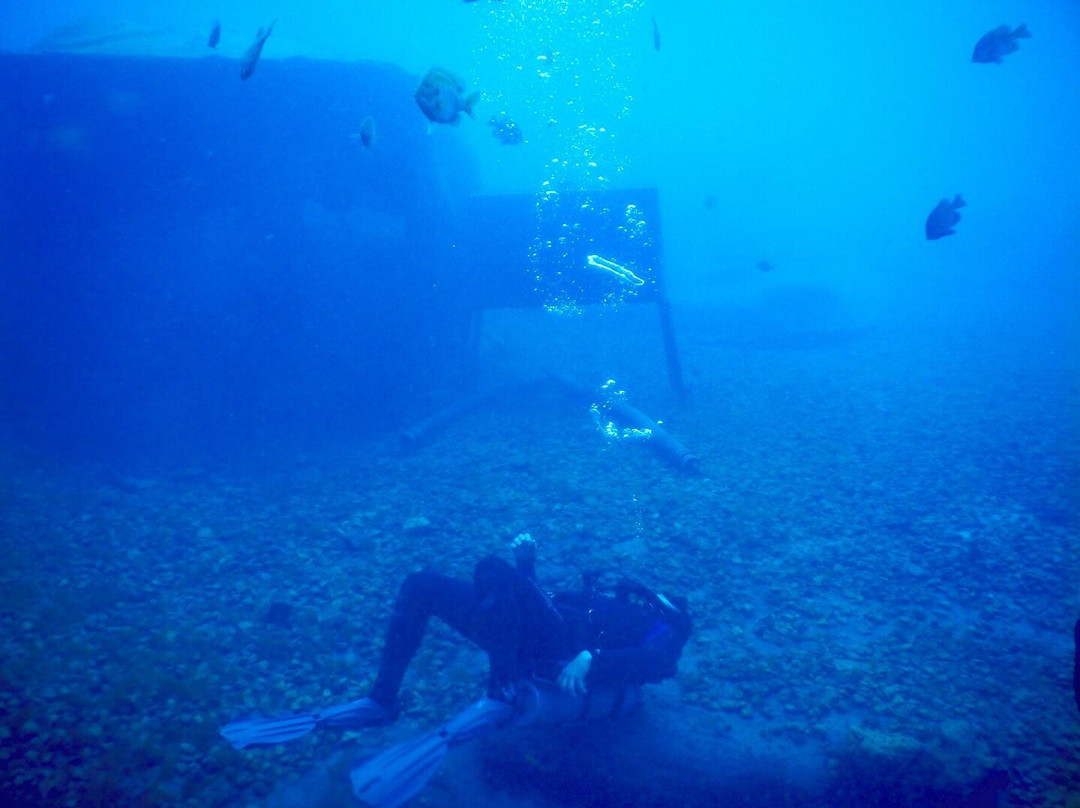 Valentine scuba divers景点图片