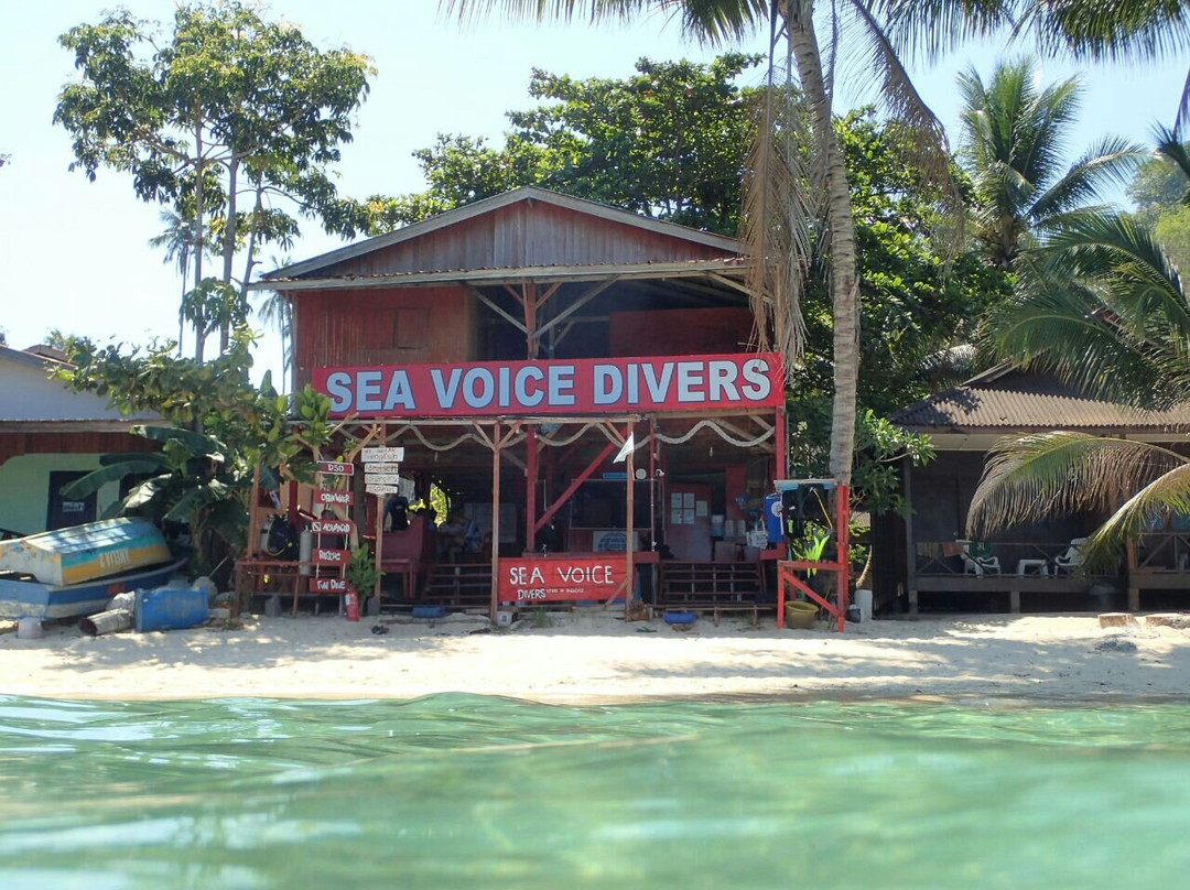 Sea Voice Divers景点图片