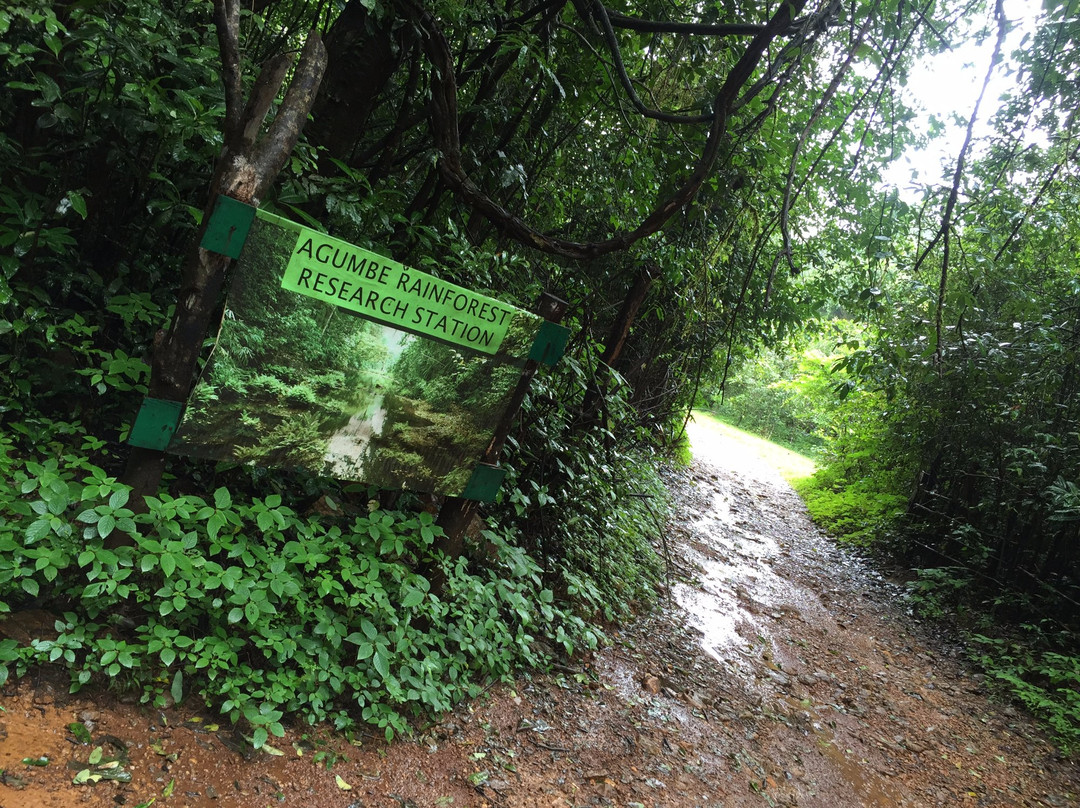 Agumbe Rainforest Research Station景点图片