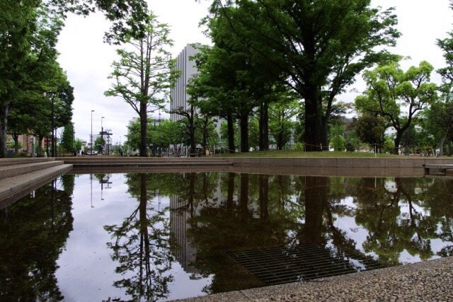 Nakano Shiki no Mori Park景点图片
