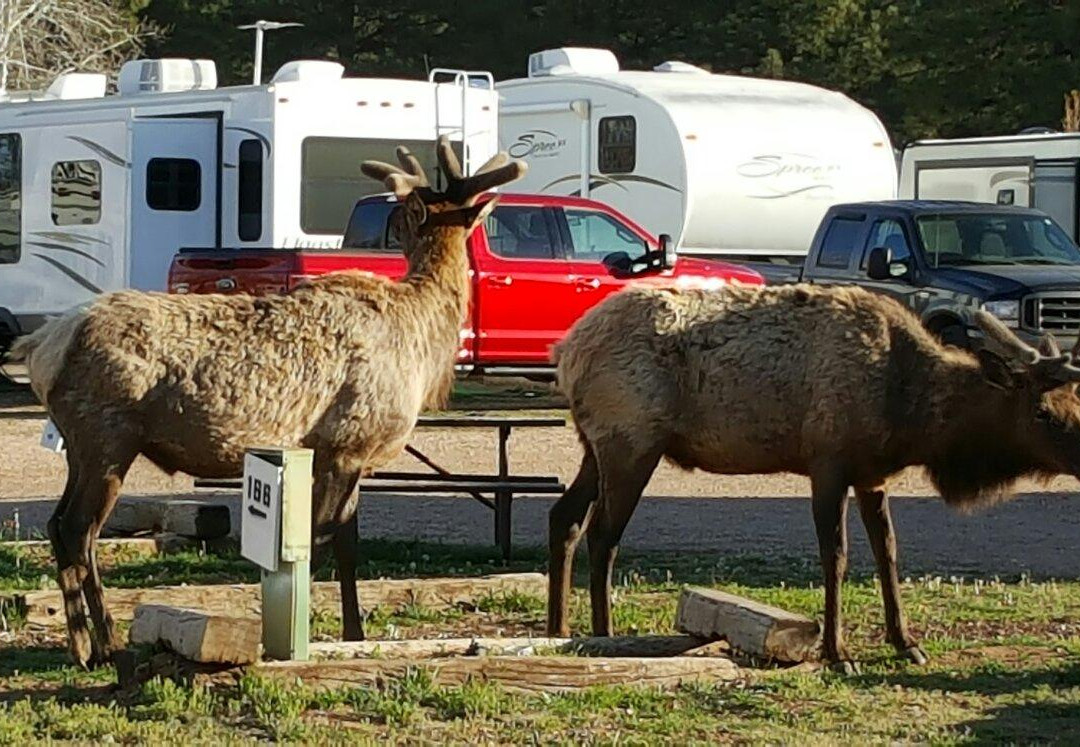 图萨扬旅游景点-Tusayan General Store