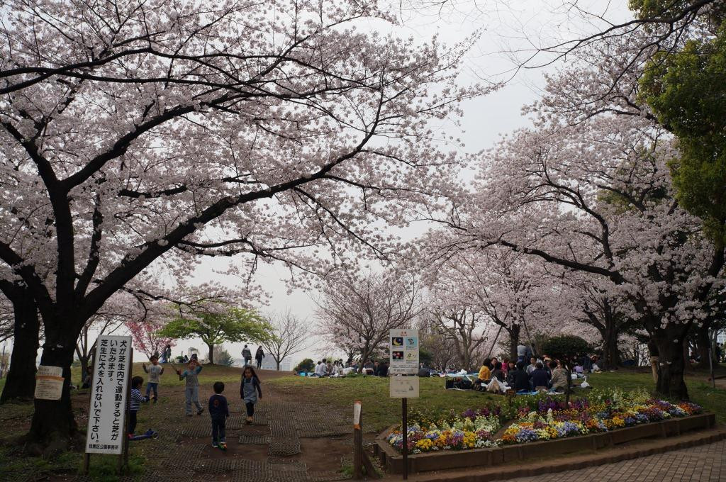Saigoyama Park-目黒区必去景点