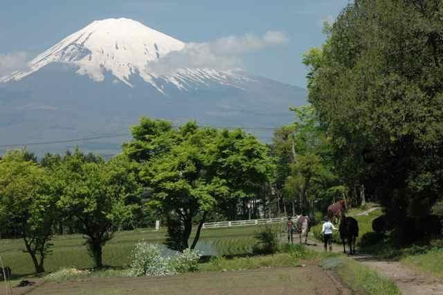 Okamoto Riding Club-御殿场市必去景点