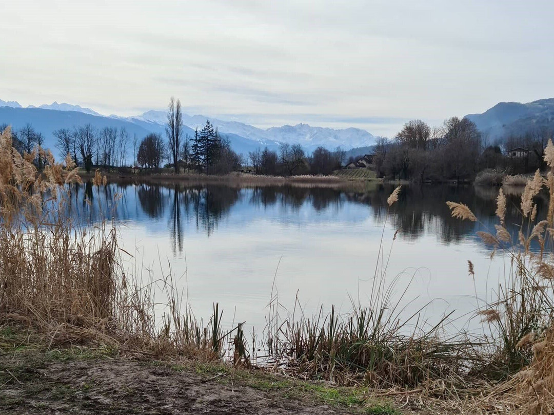 Lac de Saint-André景点图片